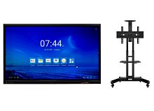 Интерактивная панель TeachTouch 6.0 65 в комплекте с креплением для панелей и телевизоров Onkron TS1881