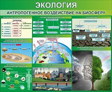 Стенд Экология. Антропогенное воздействие на биосферу, 1100х900 мм