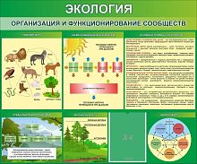 Стенд Экология. Организация и функционирование сообществ, 1200х1000 мм