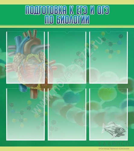 Стенд Подготовка к ЕГЭ и ГИА по биологии, 0,8х0,9 м Стенд Подготовка к ЕГЭ и ГИА по биологии, 0,8х0,9 м