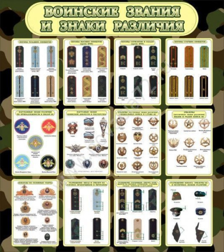 Стенд Воинские звания и знаки различия, 0,8х0,9 м Стенд Воинские звания и знаки различия, 0,8х0,9 м