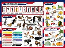 Стенд Цвета, животные, профессии, фрукты, овощи, 1х0,75 м