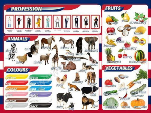 Стенд Цвета, животные, профессии, фрукты, овощи, 1х0,75 м Стенд Цвета, животные, профессии, фрукты, овощи, 1х0,75 м