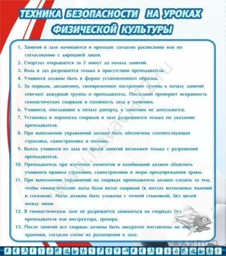 Стенд Техника безопасности на уроках физ.культуры, 0,8х0,9 м Стенд Техника безопасности на уроках физ.культуры, 0,8х0,9 м