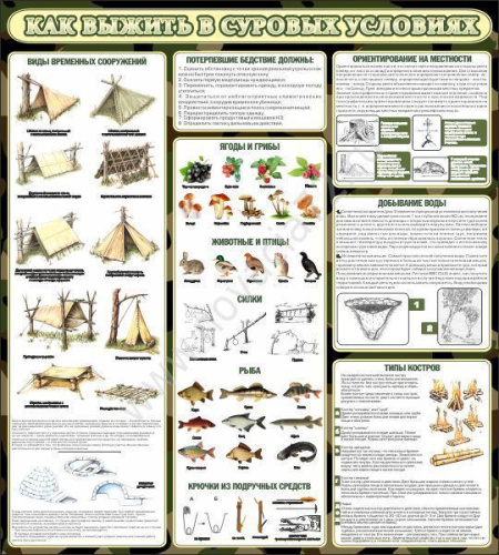 Стенд в школу Как выжить в суровых условиях, 0,9х1 м Стенд в школу Как выжить в суровых условиях, 0,9х1 м